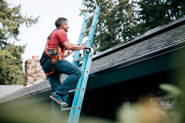 Best Roof Moss and Algae Removal  in Anna, OH